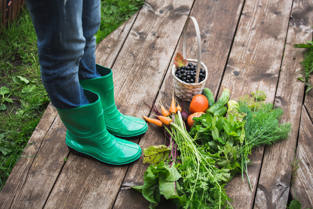 bottes-jardin